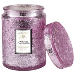 Voluspa Fragrances Japanese Plum Bloom - Small Jar Candle