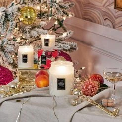 Voluspa Spiced Goji Tarocco Orange - Petite Pedestal Candle