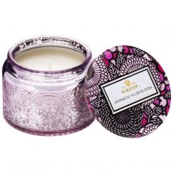 Voluspa Japanese Plum Bloom - Petite Jar Candle Fragrances